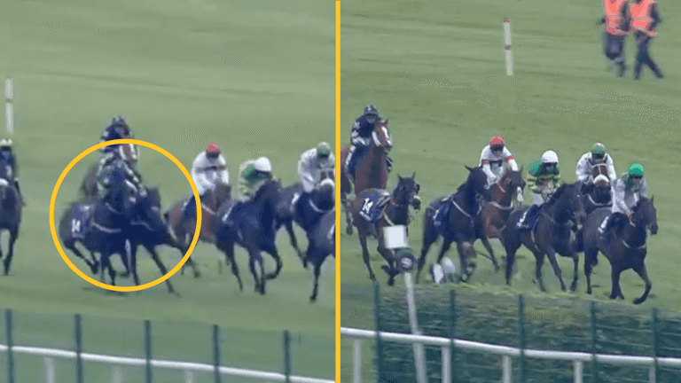 Jockey left shocked after loose horse causes chaos at Punchestown