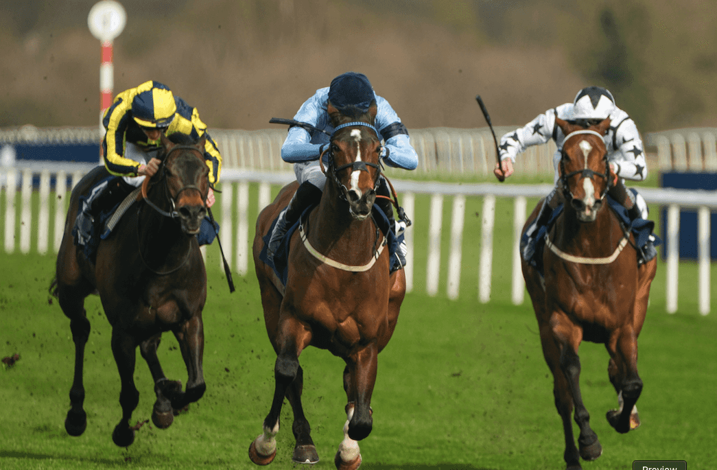 Paddock Picks – Our big tips for this weekend’s racing