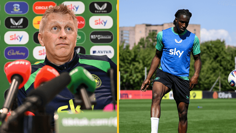 Hallgrimsson hits back at club manager over fitness of new Ireland star