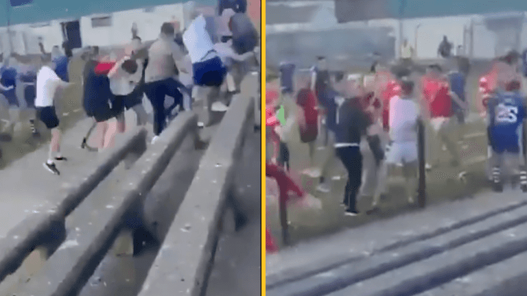 Wicklow GAA game descends into chaos with fight in the stands