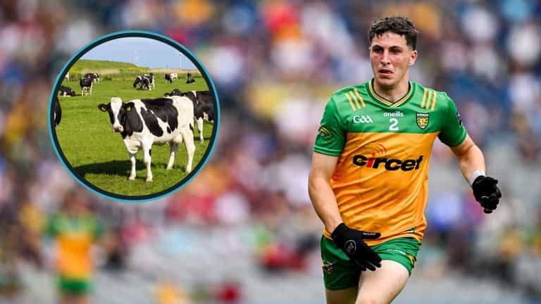 Donegal star offers hilarious ‘cow herding’ explanation for defensive talents Donegal star offers hilarious ‘cow herding’ explanation for defensive talents