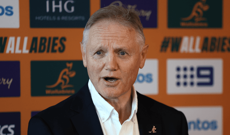 Former Ireland head coach criticises Joe Schmidt’s ‘outdated’ systems Former Ireland head coach criticises Joe Schmidt’s ‘outdated’ systems
