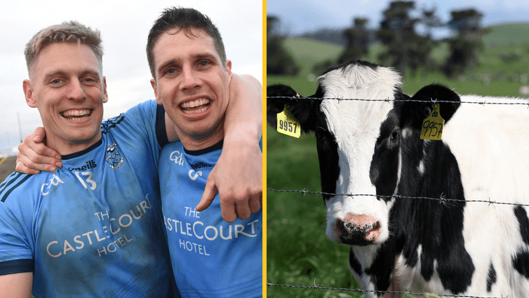 Mayo GAA club come up with genius ‘cow poo’ fundraiser idea for great cause