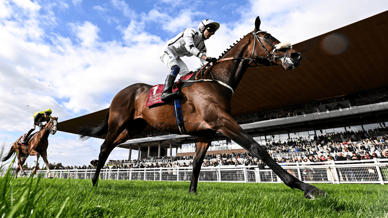 Horse racing in Ireland to break tradition with huge first-ever meet Horse racing in Ireland to break tradition with huge first-ever meet