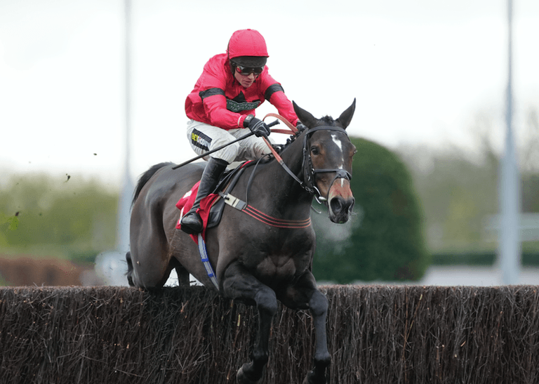 Paddock Picks – Our big tips for this weekend’s racing