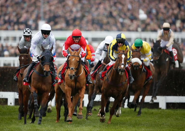 Cheltenham: Follow the 2026 festival live in our hub Cheltenham: Follow the 2026 festival live in our hub