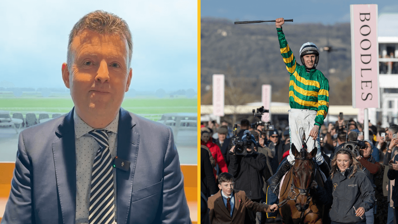 Our tips guide for every day of the Cheltenham Festival from Irish racing expert