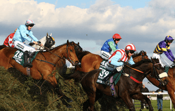 Racing expert reveals the one horse that could cause the biggest upset at this year’s Grand National