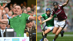 Limerick dominate Sunday Game team of the year with no surprises for player of the year