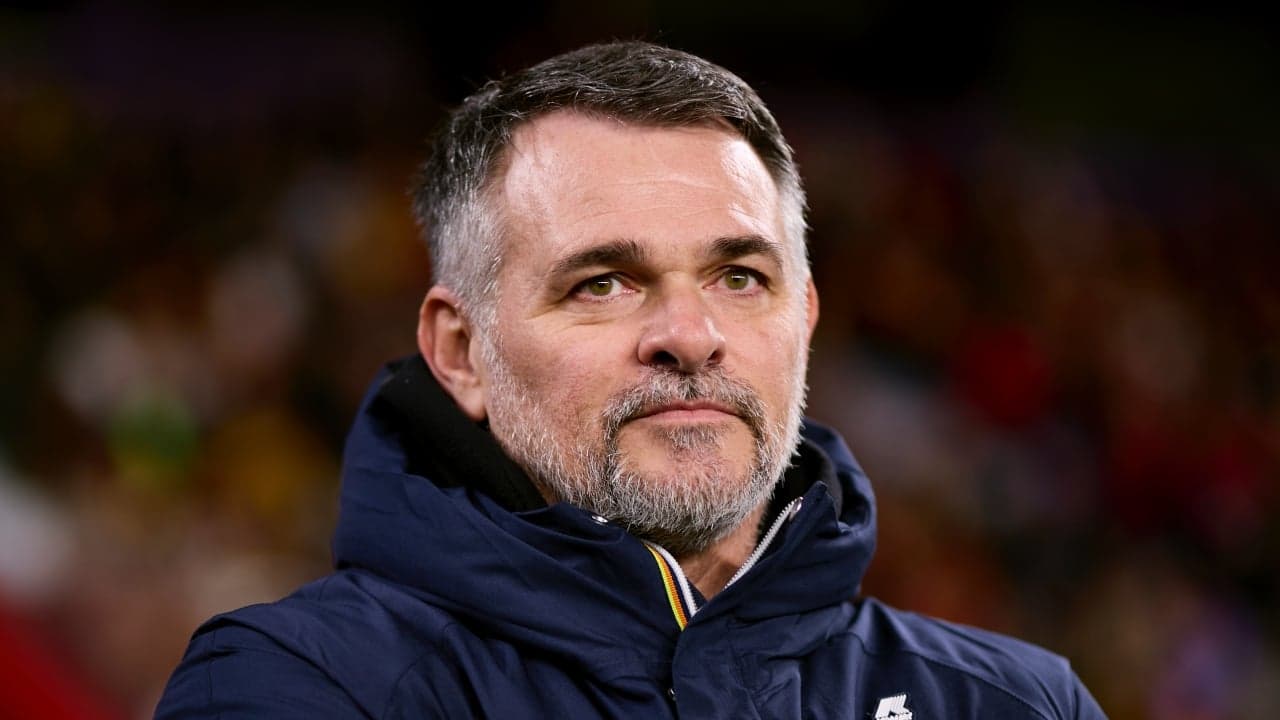 Champions League winner emerges as contender for Ireland manager job