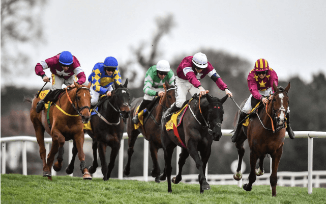 Tips to get on for The Dublin Racing Festival Tips to get on for The Dublin Racing Festival