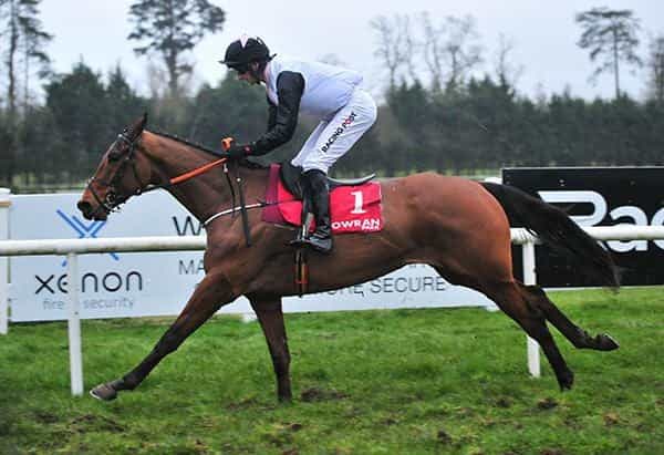 10 horses to follow for the 2020/21 national hunt season 10 horses to follow for the 2020/21 national hunt season