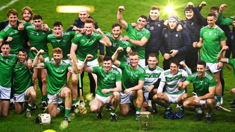 Limerick dominate All Star nominations with fair Hurler of the Year spread Limerick dominate All Star nominations with fair Hurler of the Year spread