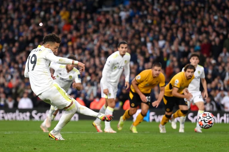 Leeds fan has police called on him after celebrating goal against Wolves Leeds fan has police called on him after celebrating goal against Wolves