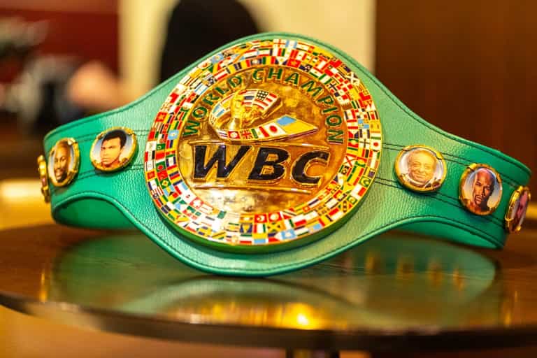 WBC President reveals plans to introduce transgender category for boxing WBC President reveals plans to introduce transgender category for boxing
