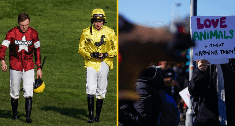 Trainer blames protestors for the death of his horse in the Aintree Grand National Trainer blames protestors for the death of his horse in the Aintree Grand National
