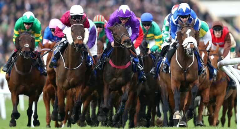 Four things to watch out for when picking a horse for the Cheltenham festival Four things to watch out for when picking a horse for the Cheltenham festival