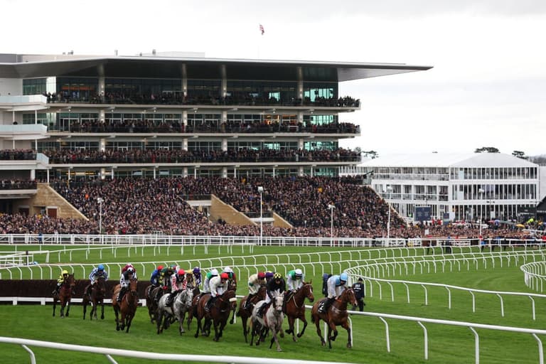 Best Cheltenham Betting Sites & Apps Best Cheltenham Betting Sites & Apps