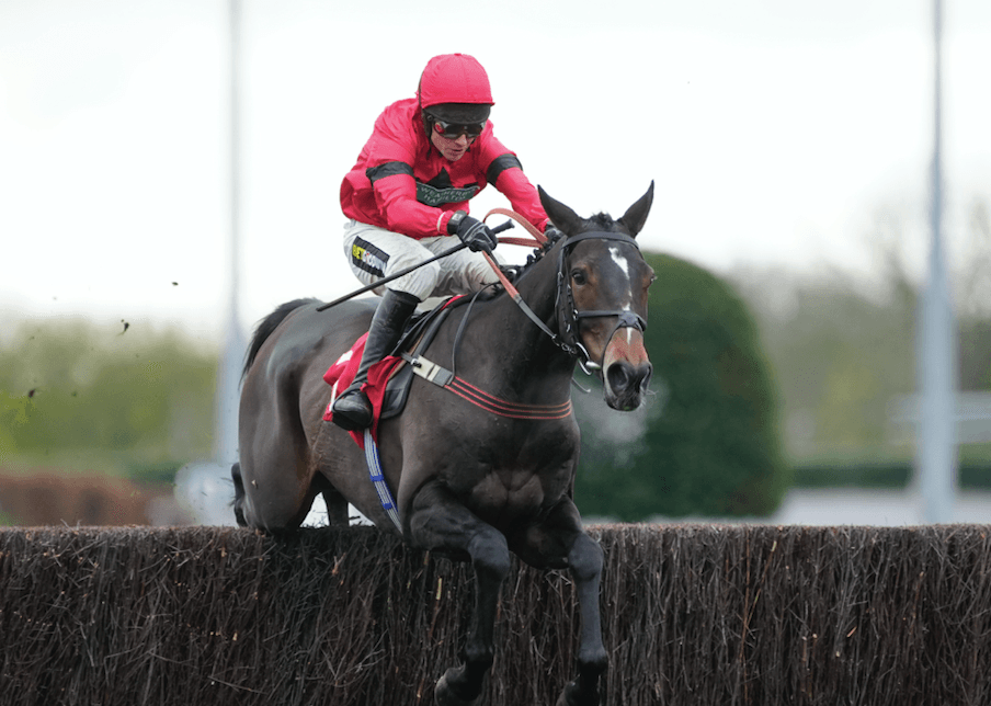 Paddock Picks – Our big tips for this weekend’s racing