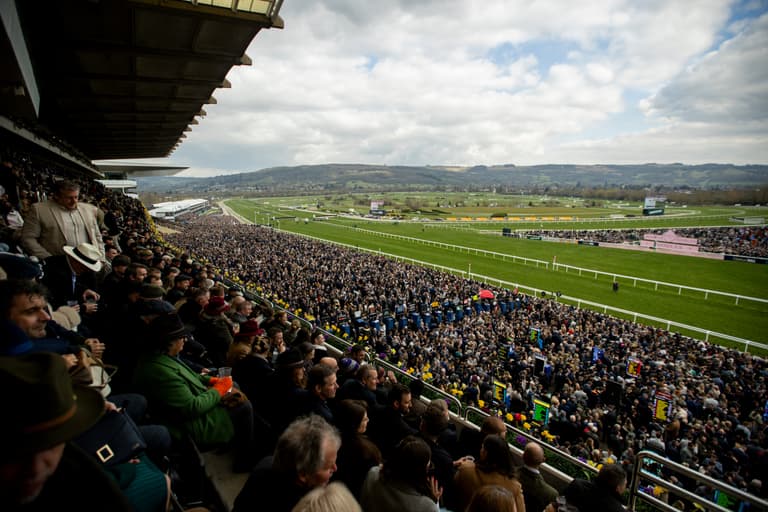 How to Enjoy the Cheltenham Festival 2026 in Ireland How to Enjoy the Cheltenham Festival 2026 in Ireland