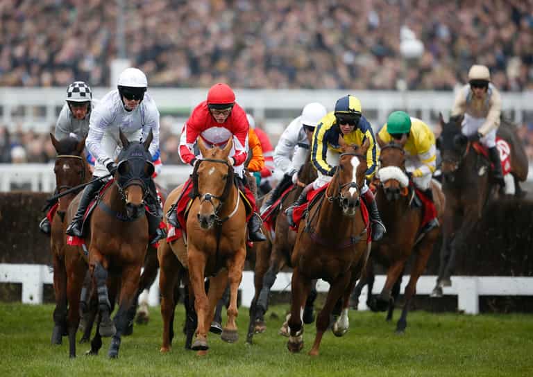 Cheltenham: Follow the 2026 festival live in our hub Cheltenham: Follow the 2026 festival live in our hub