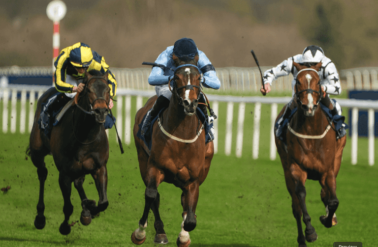 Paddock Picks – Our big tips for this weekend’s racing Paddock Picks – Our big tips for this weekend’s racing