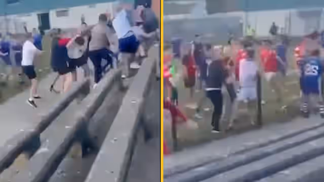 Wicklow GAA game descends into chaos with fight in the stands Wicklow GAA game descends into chaos with fight in the stands