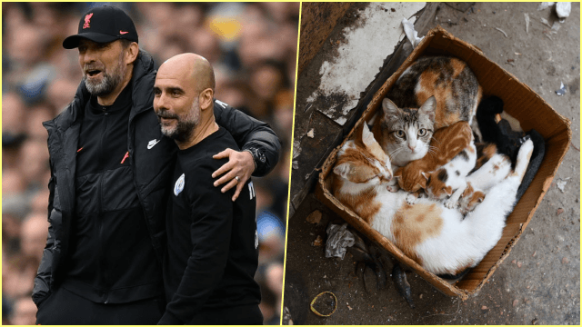 Liverpool, Manchester City, the Premier League title and Schrödinger’s cat Liverpool, Manchester City, the Premier League title and Schrödinger’s cat