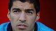 What could go wrong with a Luis Suarez Q+A on Twitter