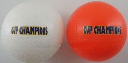 PIC: Goalkeepers should be happy with the new pink Premier League football for next season