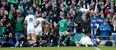 PIC: We guarantee, you will not see an Irish fan happier than this legend after Robbie Henshaw’s try