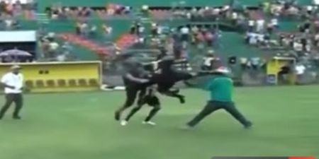 VIDEO: Footballer takes revenge MMA style after seeing his goalkeeper kicked in the back by fan