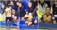 Alexis Sanchez plunges into Goodison Park stand, decides to just sit down with Everton fans