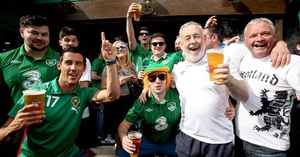 Irish supporters in France are being praised to the skies by impressed locals