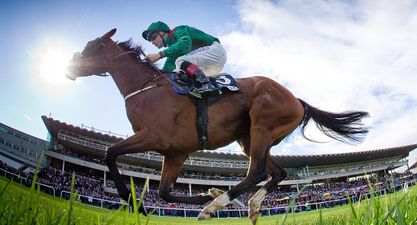 WIN: Tickets for you and four friends to the Longines Irish Champions Weekend at Leopardstown and the Curragh