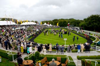 The Paddock panel suggest one major change to drastically improve horse racing experience