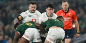 Player ratings as Ireland go down fighting vs South Africa after five cards