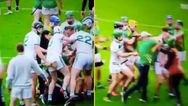 Fan arrested after punching player in disgraceful scenes at Leinster club match