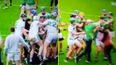 Fan arrested after punching player in disgraceful scenes at Leinster club match